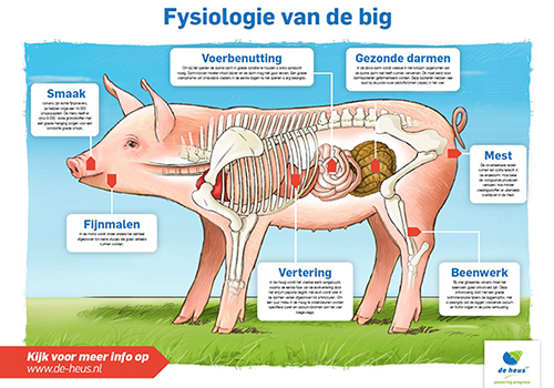 De Heus - Poster big